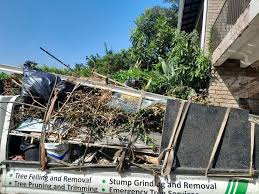 Best Residential Junk Removal  in Murphysboro, IL